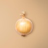 Onion