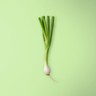 Spring Onion